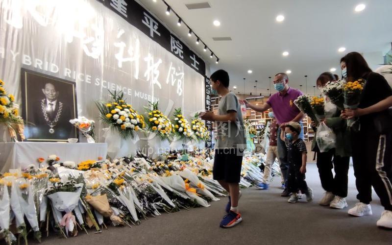 成都:市民悼念"杂交水稻之父"袁隆平