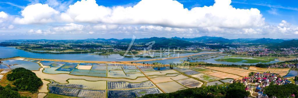 江西都昌:夏日田园景如画-人民图片网