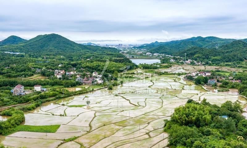 安徽芜湖:雨后田园风光美-人民图片网
