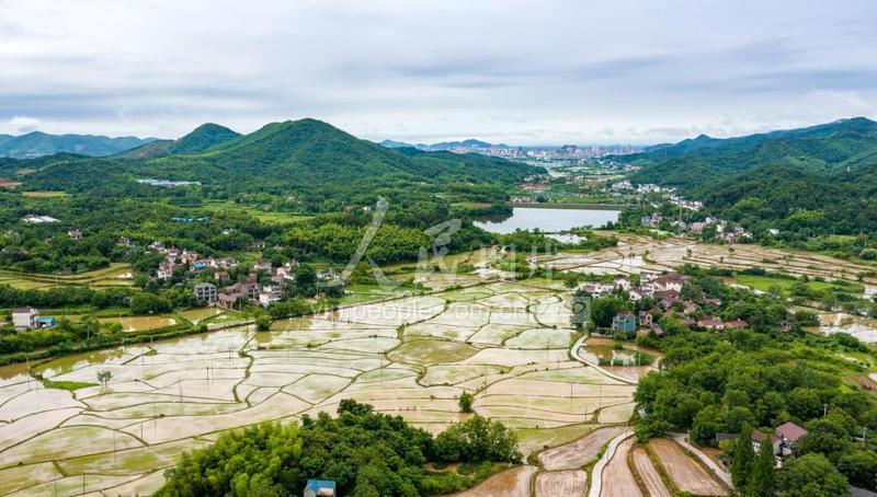安徽芜湖:雨后田园风光美-人民图片网