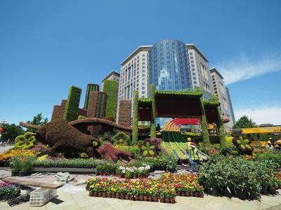 2021年6月17日,北京长安街沿线喜迎建党百年主题立体花坛布置工作正在