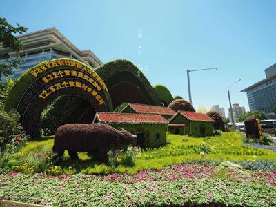 2021年6月17日,北京长安街沿线喜迎建党百年主题立体花坛布置工作正在
