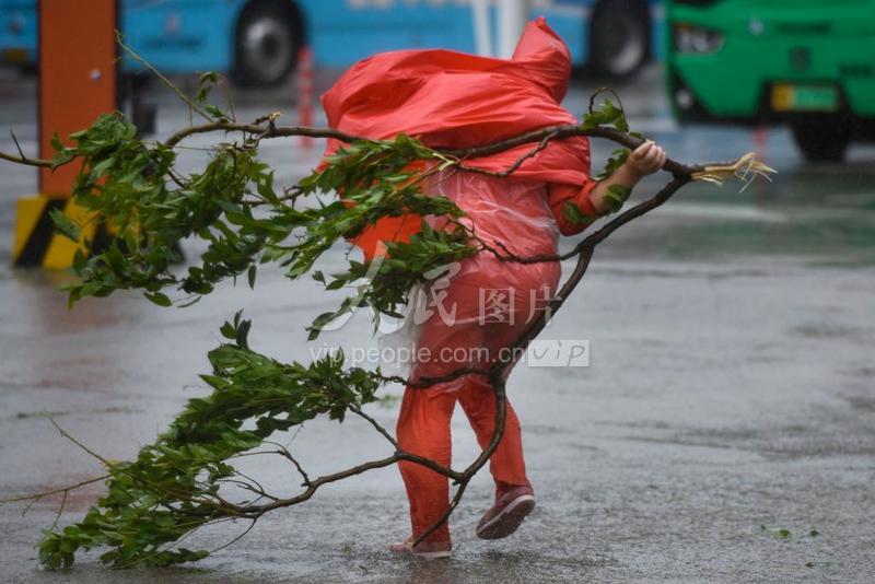 浙江宁波：台风“烟花”来袭-人民图片网