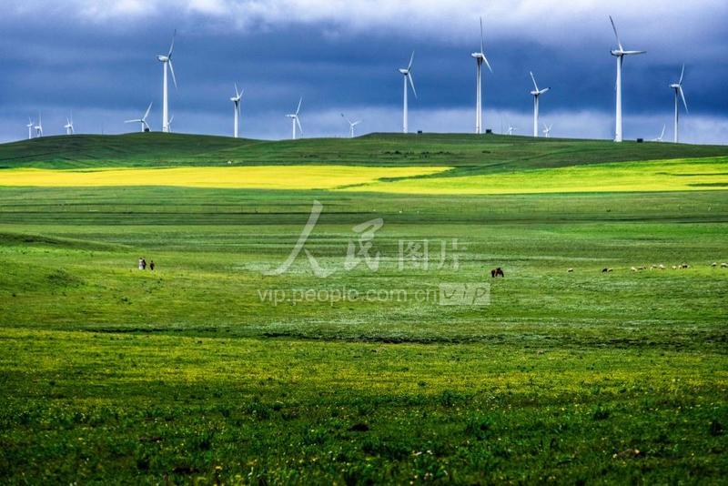 内蒙古乌兰察布：草原花季景美如画-人民图片网