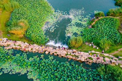 安徽淮北夏日东湖湿地公园美如画