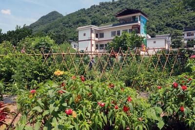 微菜园,微果园的"三微"田园化改造,让乡村风貌呈现出了布局美,环境美