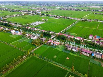 江苏泰兴:初秋田园景美如画-人民图片网