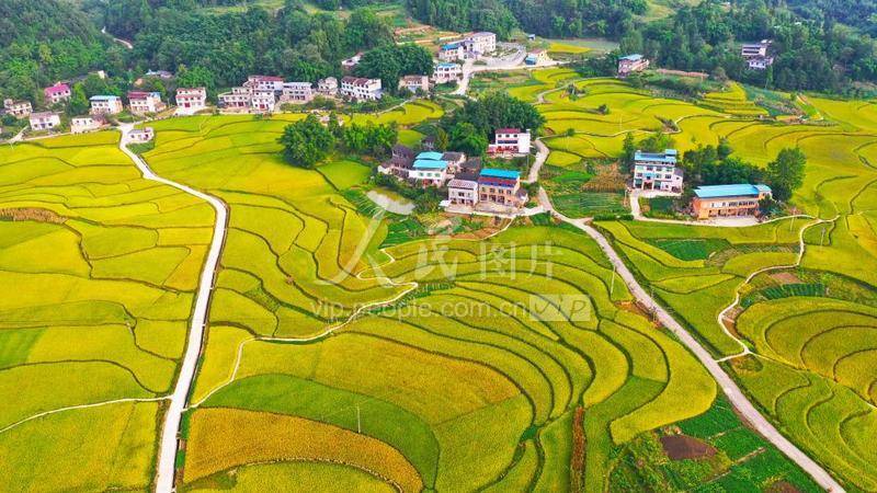 重庆梁平:美丽乡村入画来