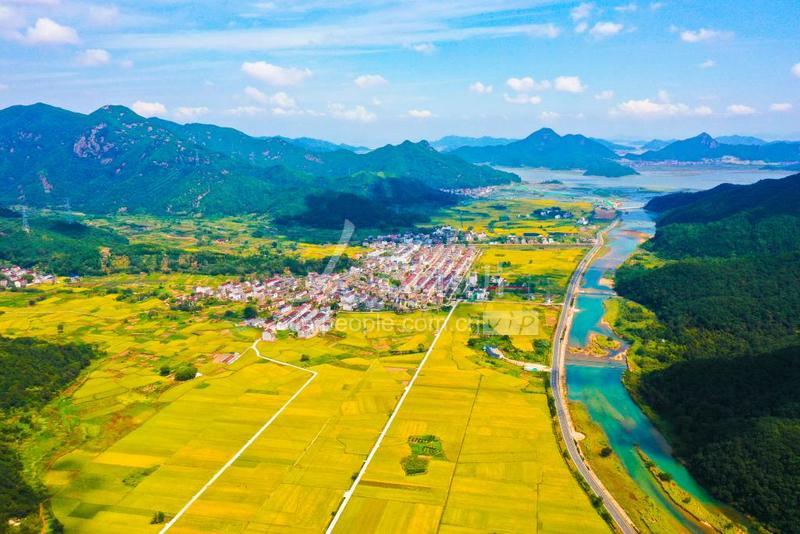 浙江三门秋日田园美如画