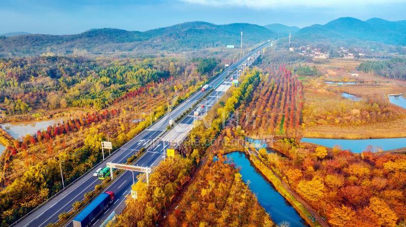 江苏南京层林尽染宁杭高速