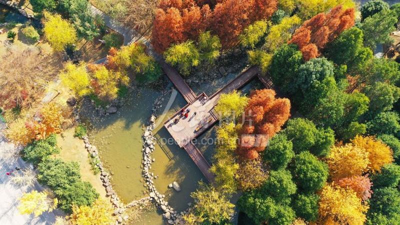 湖南衡阳:色彩斑斓 冬景如画-人民图片网