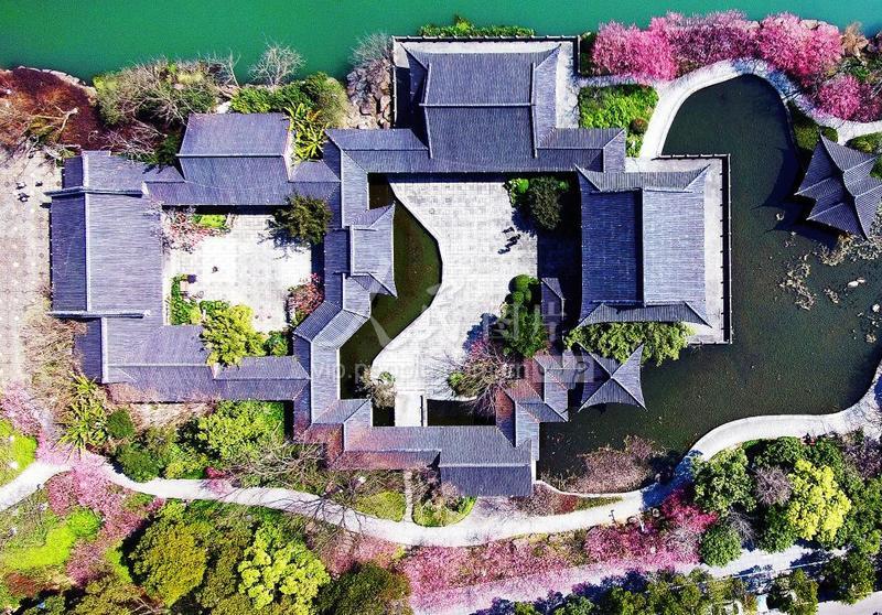 浙江台州：踏青赏花享春光-人民图片网