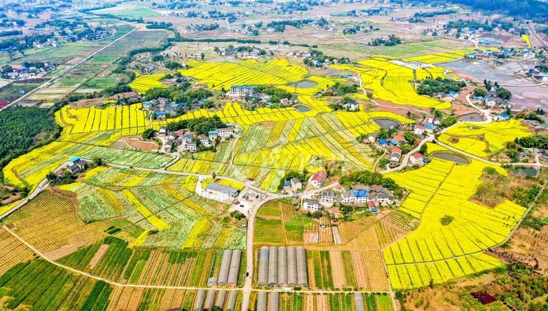 15:56:55图片说明:2022年3月13日,在位于四川省广安市岳池县石垭镇的