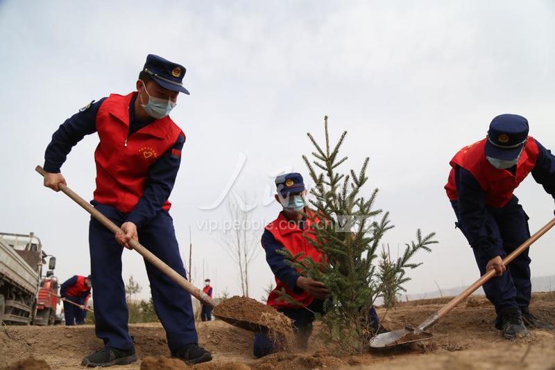 甘肃平凉：植树造林-人民图片网