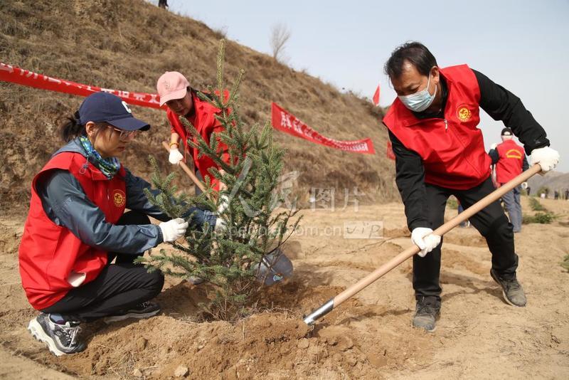 甘肃平凉：植树造林-人民图片网