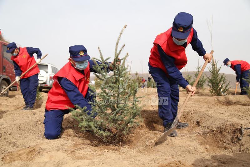甘肃平凉：植树造林-人民图片网