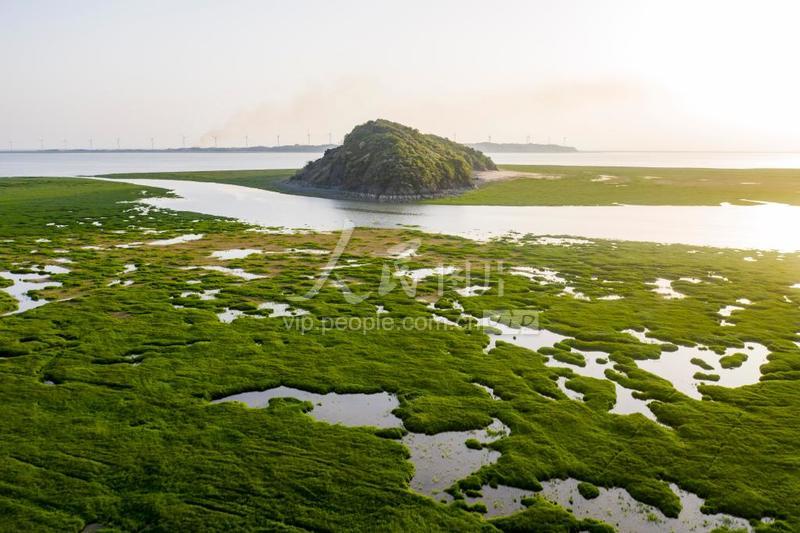 江西都昌:鄱阳湖湿地春意浓-人民图片网