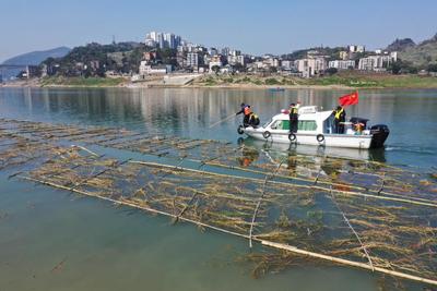 重庆：铺设人工鱼巢 保护鱼类资源-人民图片网