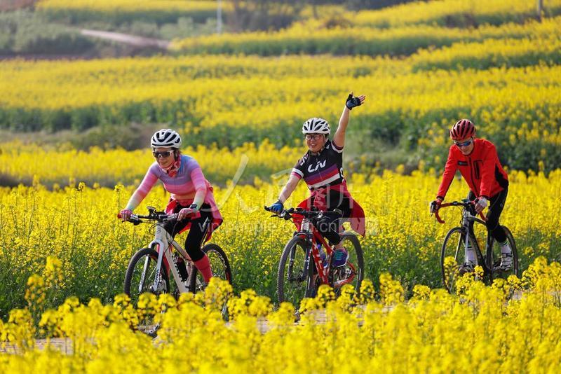 四川广安骑行花海
