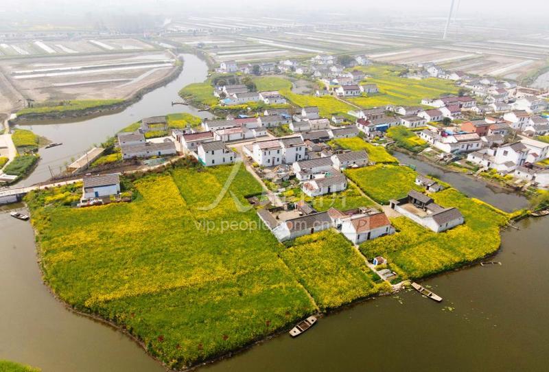 江苏高邮美丽乡村入画来