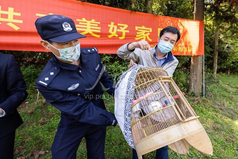 浙江安吉:放生野生鸟类