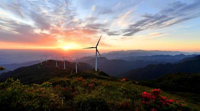 湖南江永:燕子山上杜鹃花开