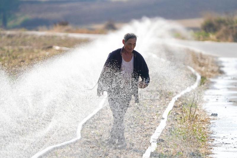 河南正阳抗旱保苗掀高潮