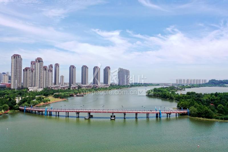 浙江乐清:夏日湿地景如画-人民图片网