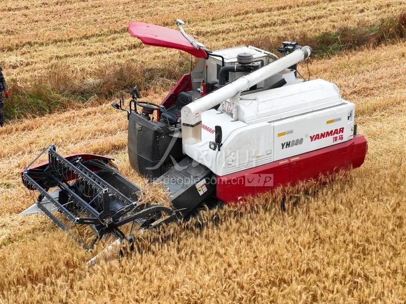 江苏南通:"无人农机"麦收忙-人民图片网