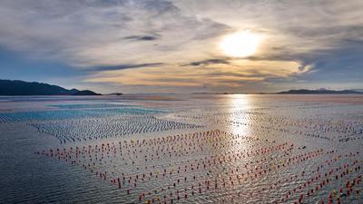 广东南澳海上彩色牧场
