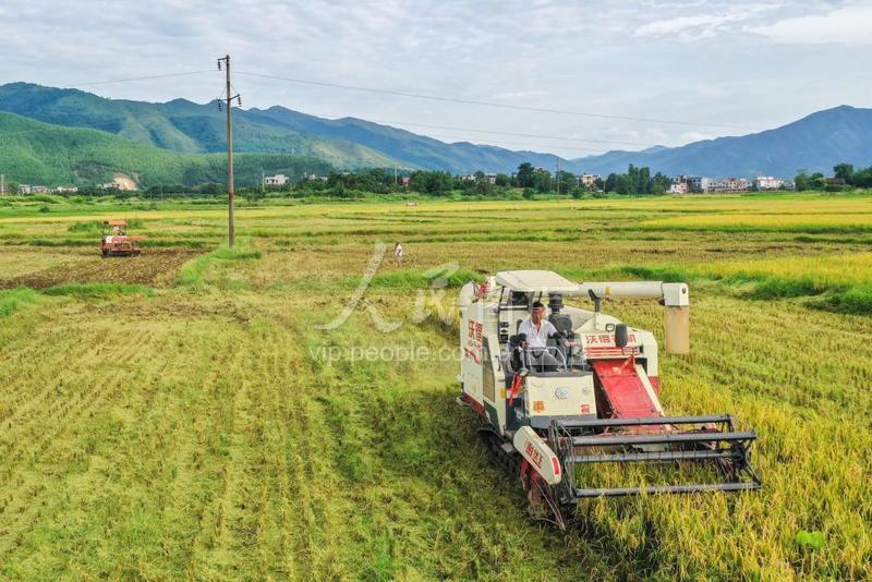 湖南蓝山:农机助“双抢”-人民图片网