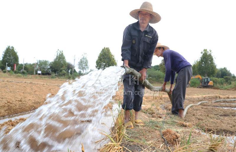 湖南衡阳：抗旱保生产-人民图片网