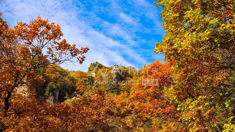 甘肃平凉:崆峒山进入秋景最佳观赏期-人民图片网