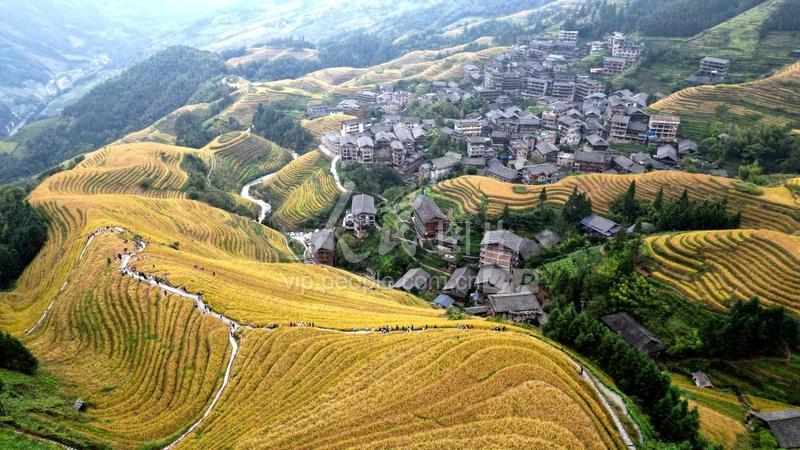 广西龙胜：梯田美景入画来-人民图片网