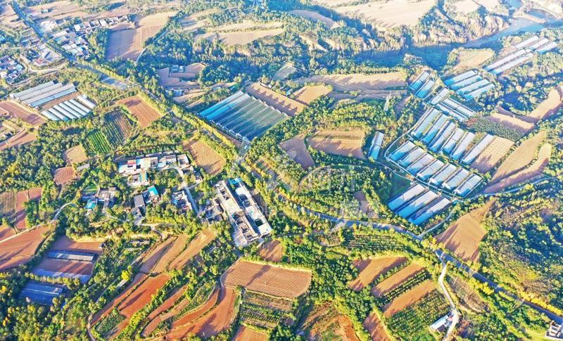 河南孟州:道路四通八达 岭乡秋色秀美-人民图片网