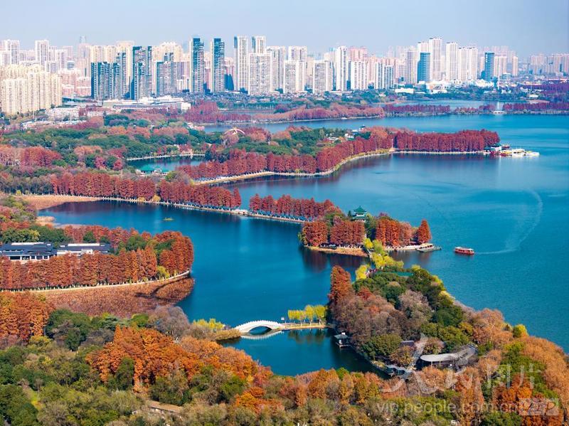 湖北武汉:冬日湖景美-人民图片网