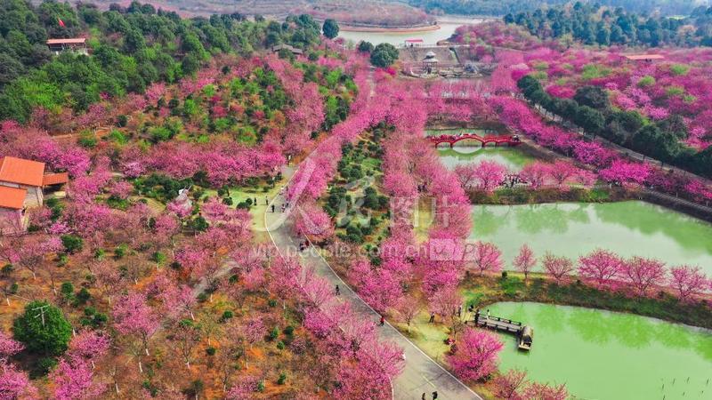 湖南常宁:春色如画-人民图片网