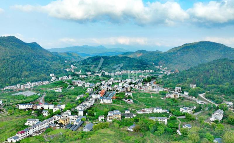 江西上犹:茶乡生态美景引客来-人民图片网