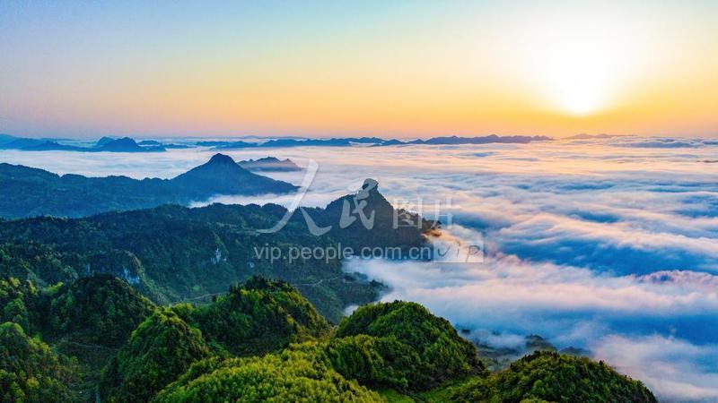 重庆南川：云雾漫山春色美-人民图片网