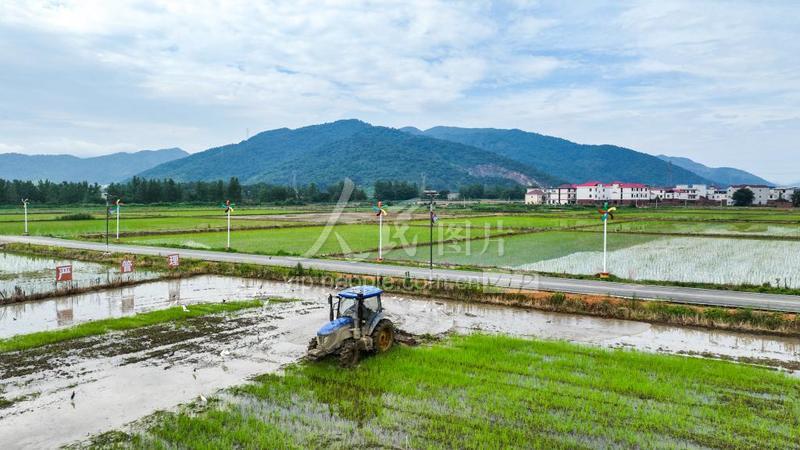 江西瑞昌:夏日农事忙-人民图片网