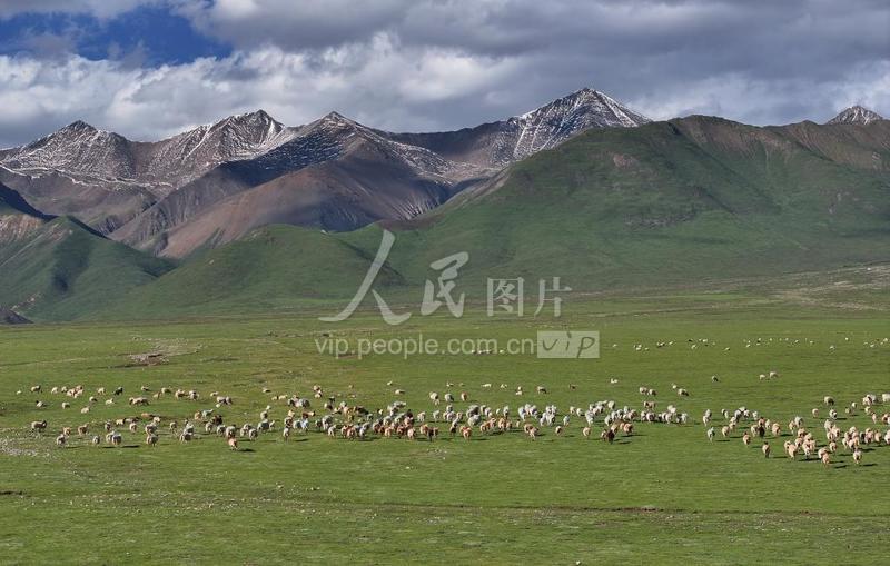 青海门源:产业兴 乡村美-人民图片网