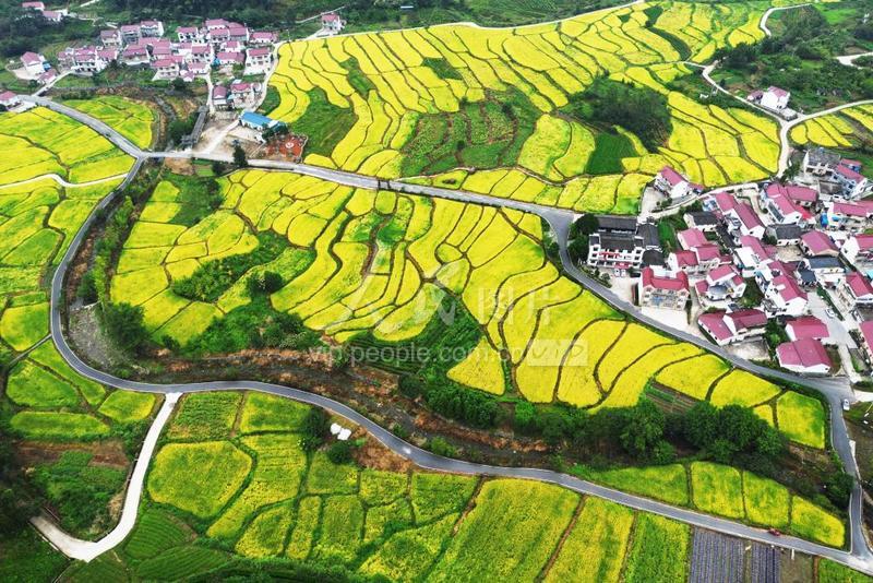 安徽石台：山村“丰”景如画-人民图片网