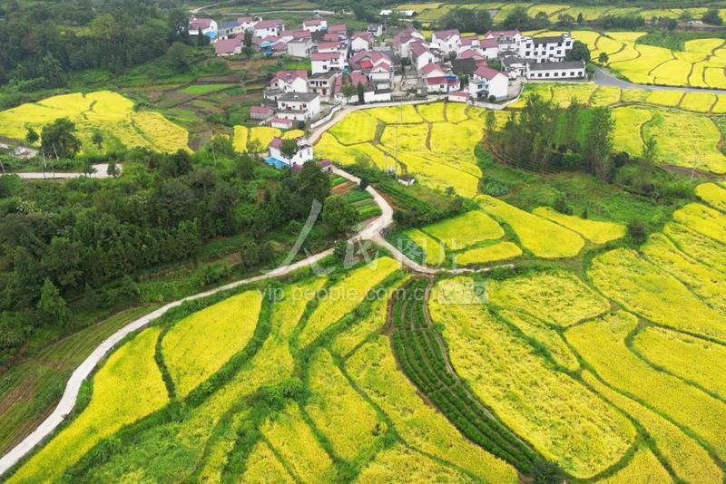 安徽石台：山村“丰”景如画-人民图片网