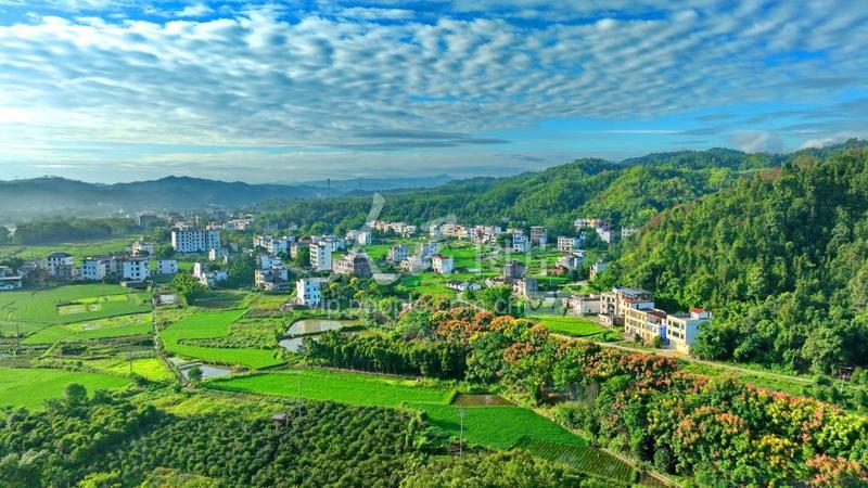 江西上犹:乡村公路景色美-人民图片网