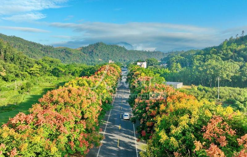 江西上犹:乡村公路景色美-人民图片网