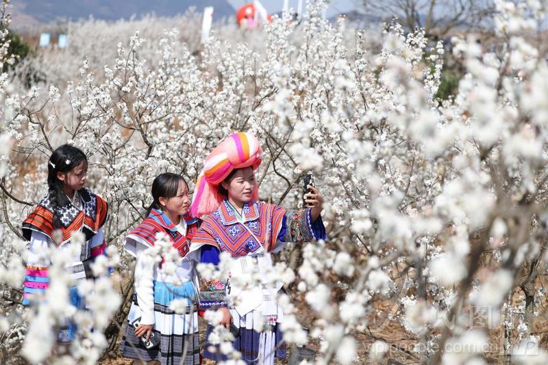 贵州纳雍:樱桃花开-人民图片网