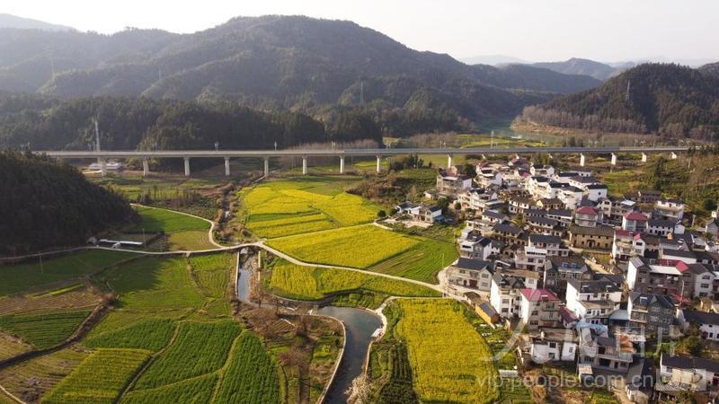 安徽祁门:油菜花开乡村美-人民图片网