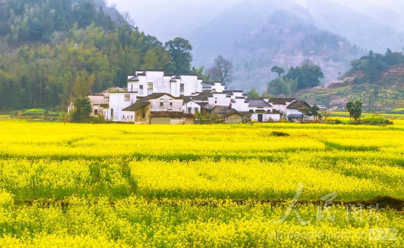 安徽休宁:画里乡村-人民图片网