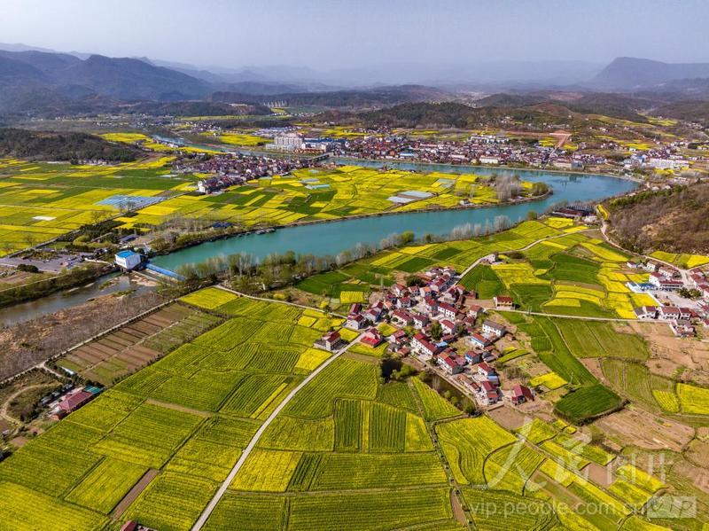 湖北宜昌:油菜花开扮靓美丽乡村-人民图片网