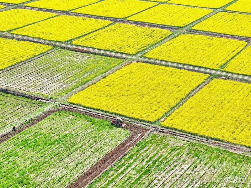 江西湖口:翻耕高标准农田助力粮食生产-人民图片网